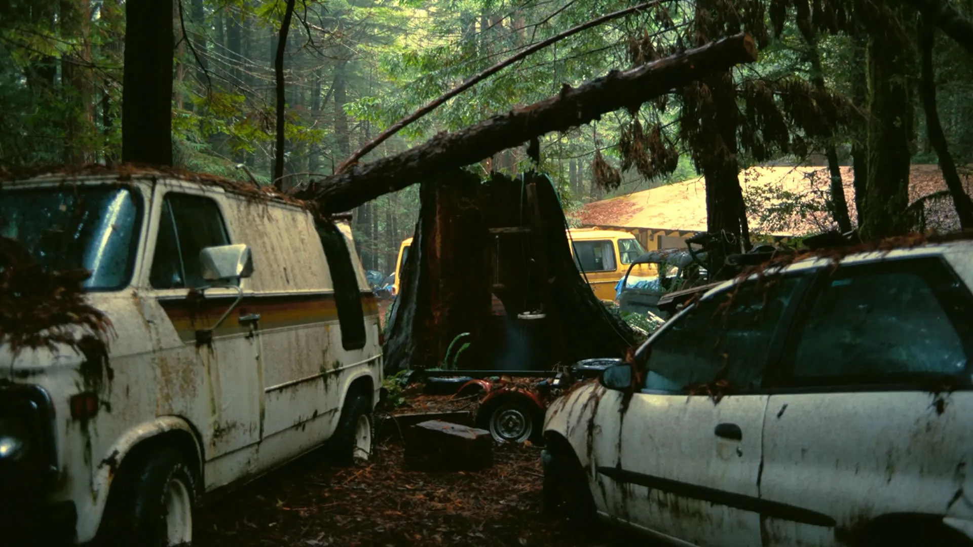 دو ماشین قراضه مقابل تنه‌ی یک درخت در نمایی از فیلم نبرد پشت نبرد پل توماس اندرسون