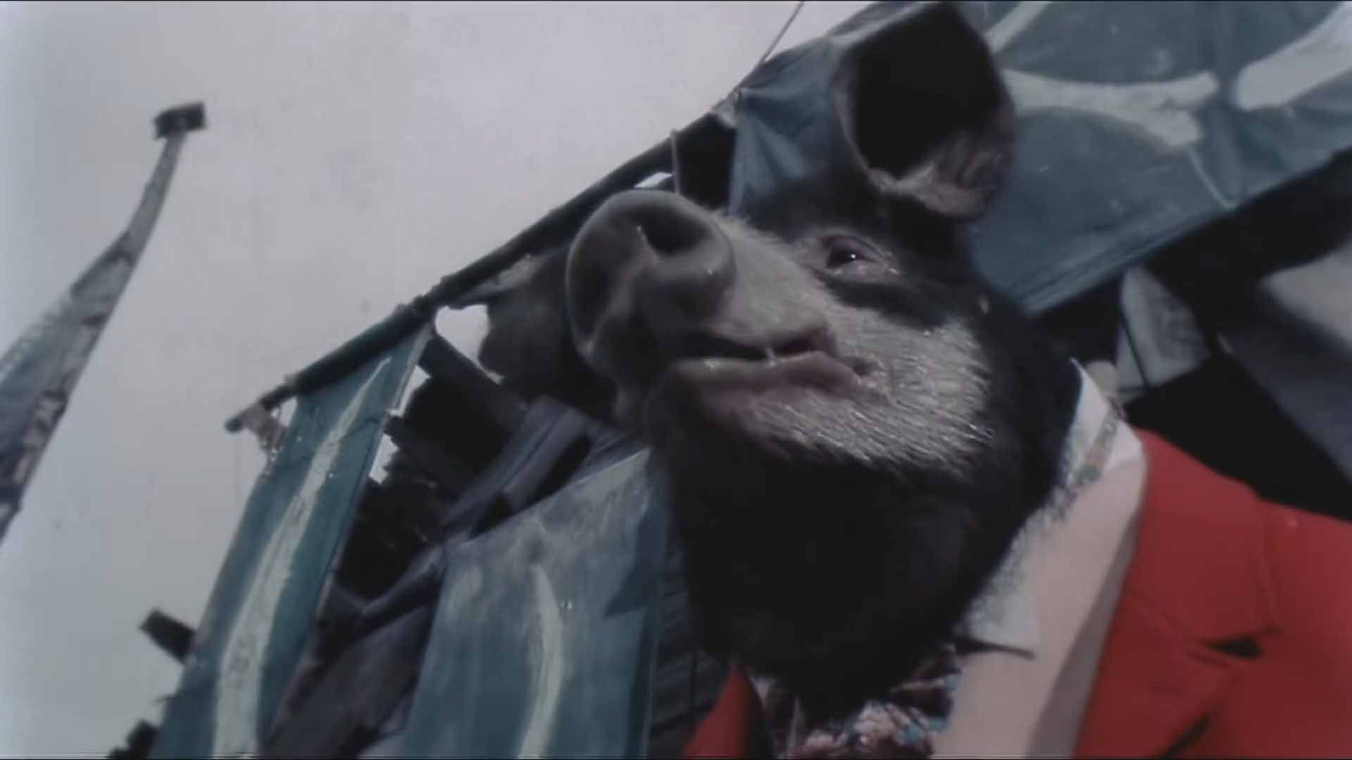 معرفی مستند Orwell: 2+2=5 | از بیگ برادر تا بیگ‌ دیتا