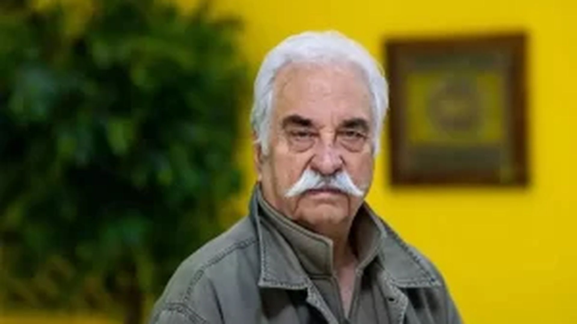 هادی مرزبان