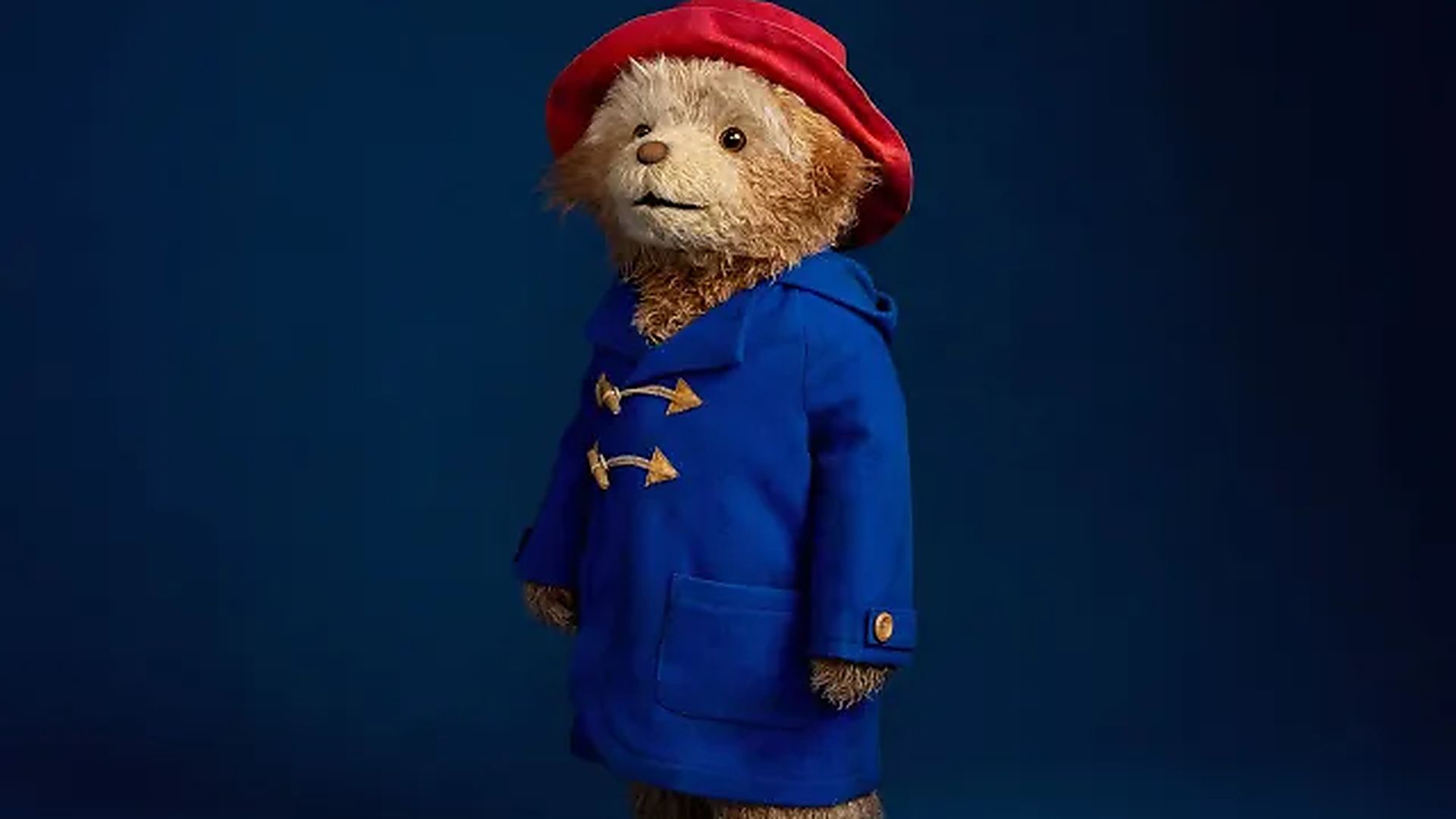 پرتره پدینگتون 