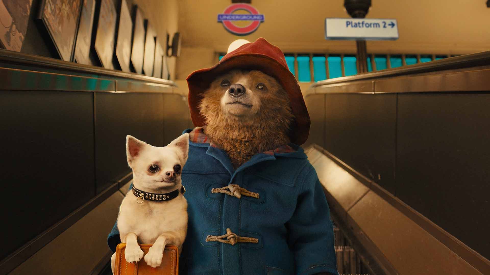 پدینگتون به همراه سگ خود روی پله برقی در فیلم Paddington