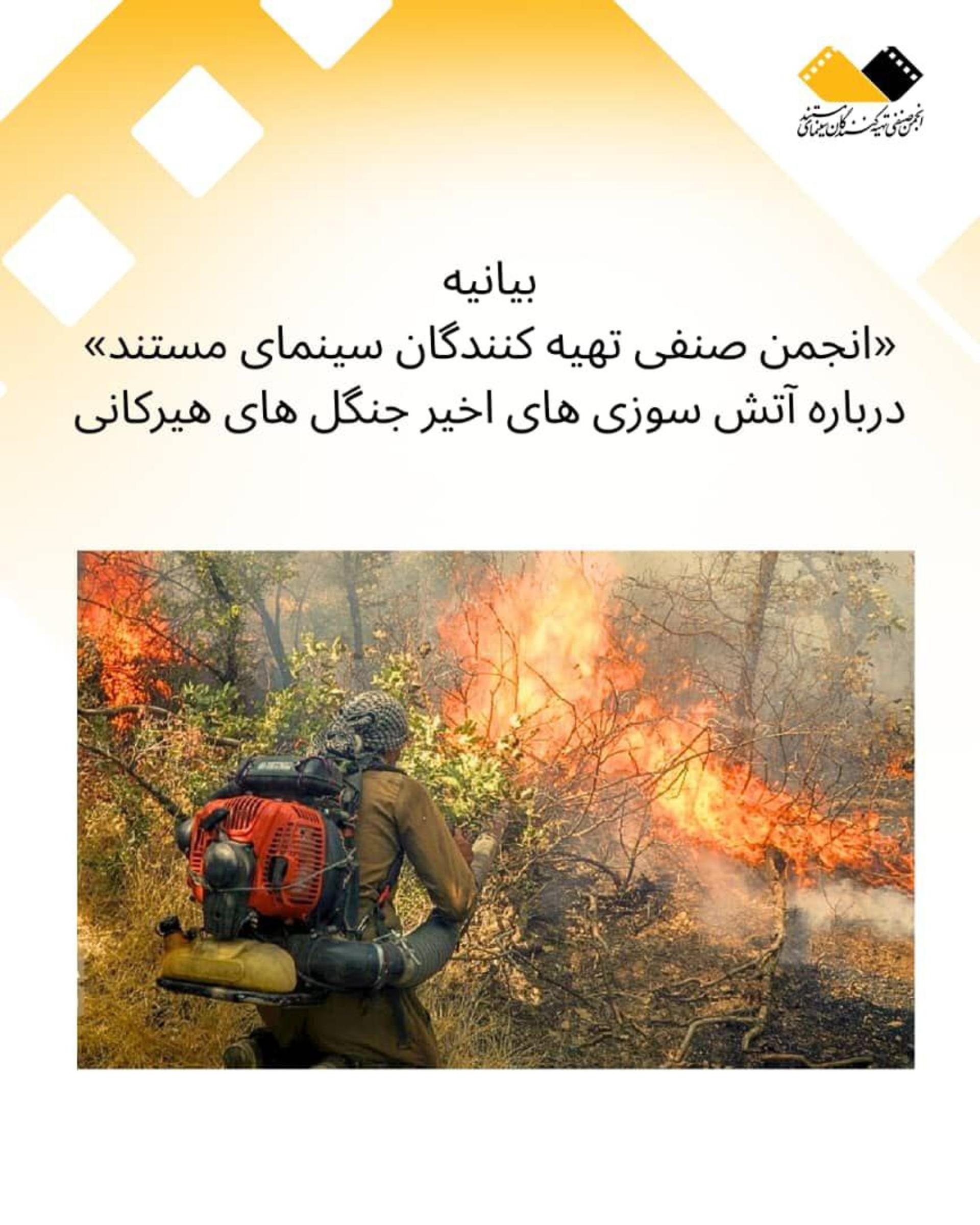 بیانیه انجمن مستند 
