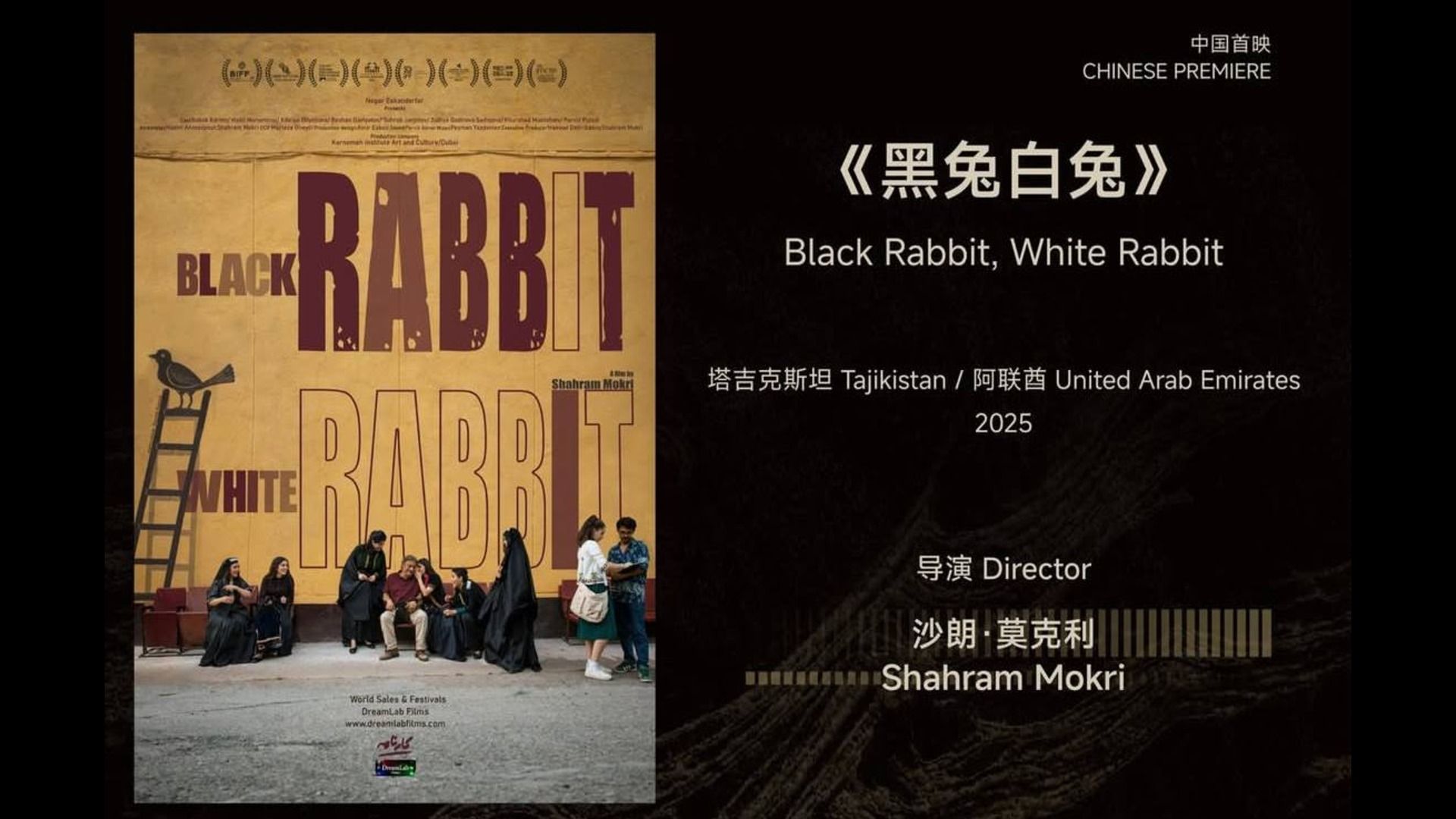 فیلم خرگوش سیاسه خرگوش سفید در چین