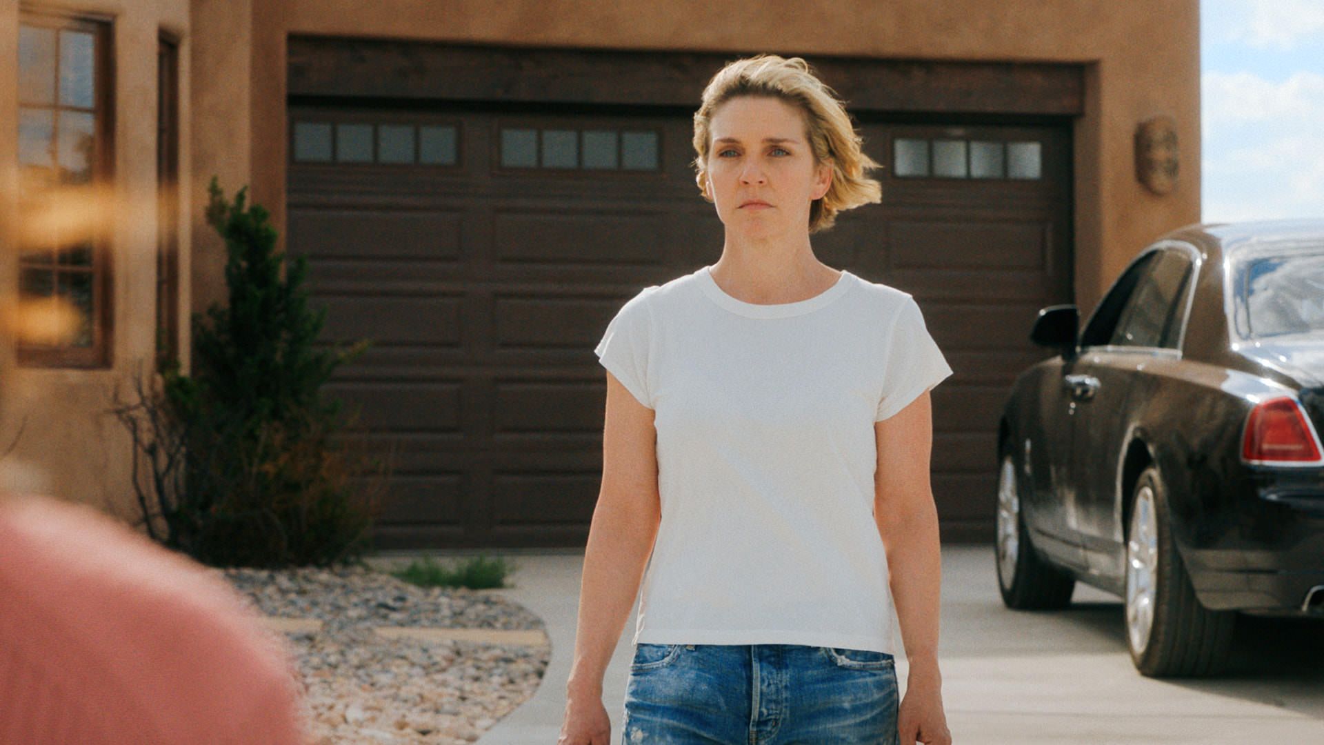 کارول با زوشا تجدید دیدار می‌کند، سریال پلوریبوس