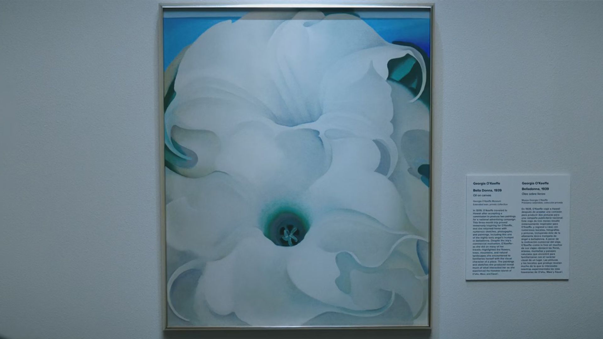 نقاشی گل سفید از جورجیا اوکیف، سریال پلوریبوس