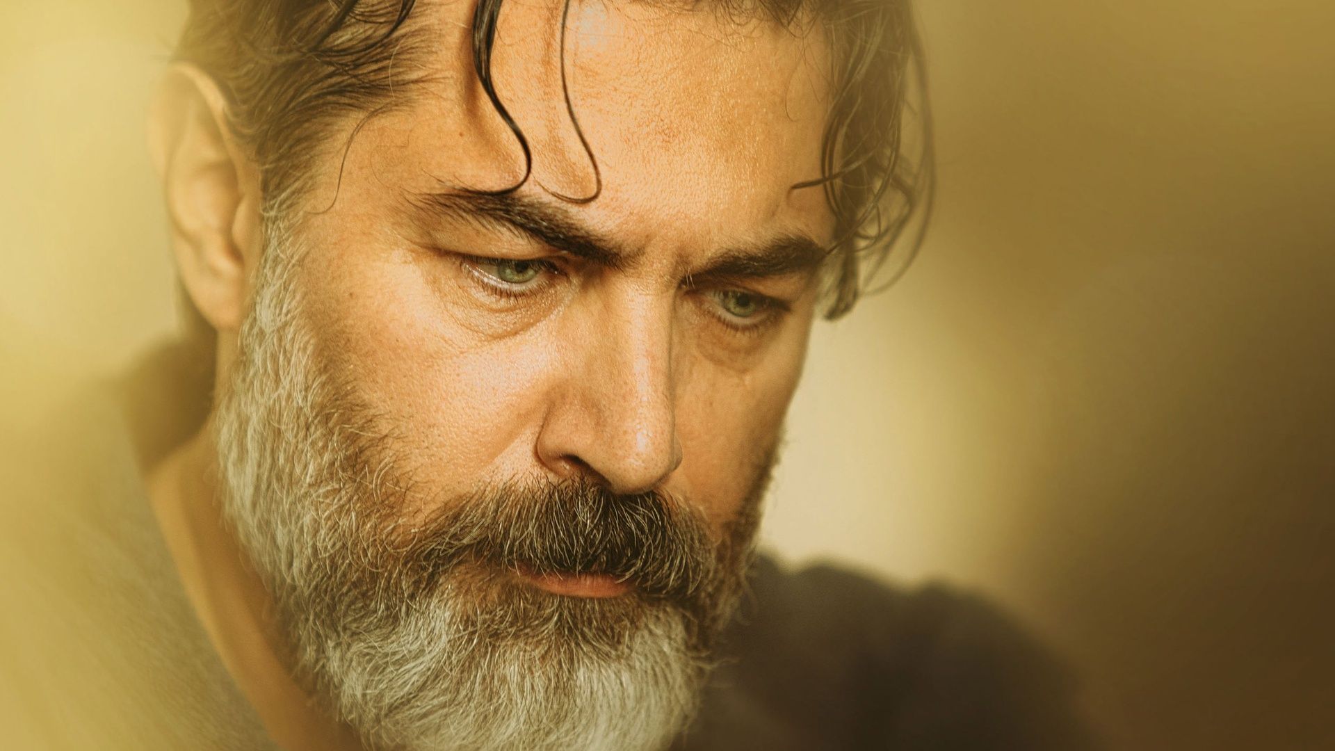 در انتهای شب