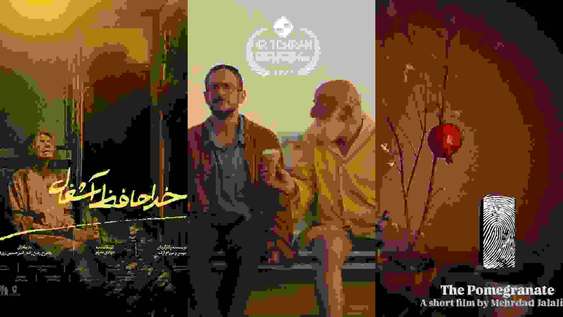 نقد فیلم های کوتاه جشنواره فیلم تهران ۱۴۰۴