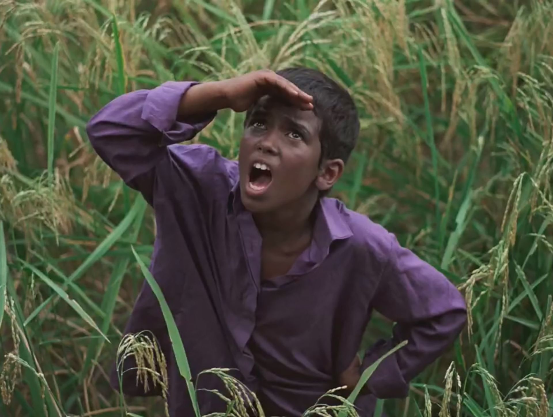 نمایی از فیلم باشو، غریبه کوچک