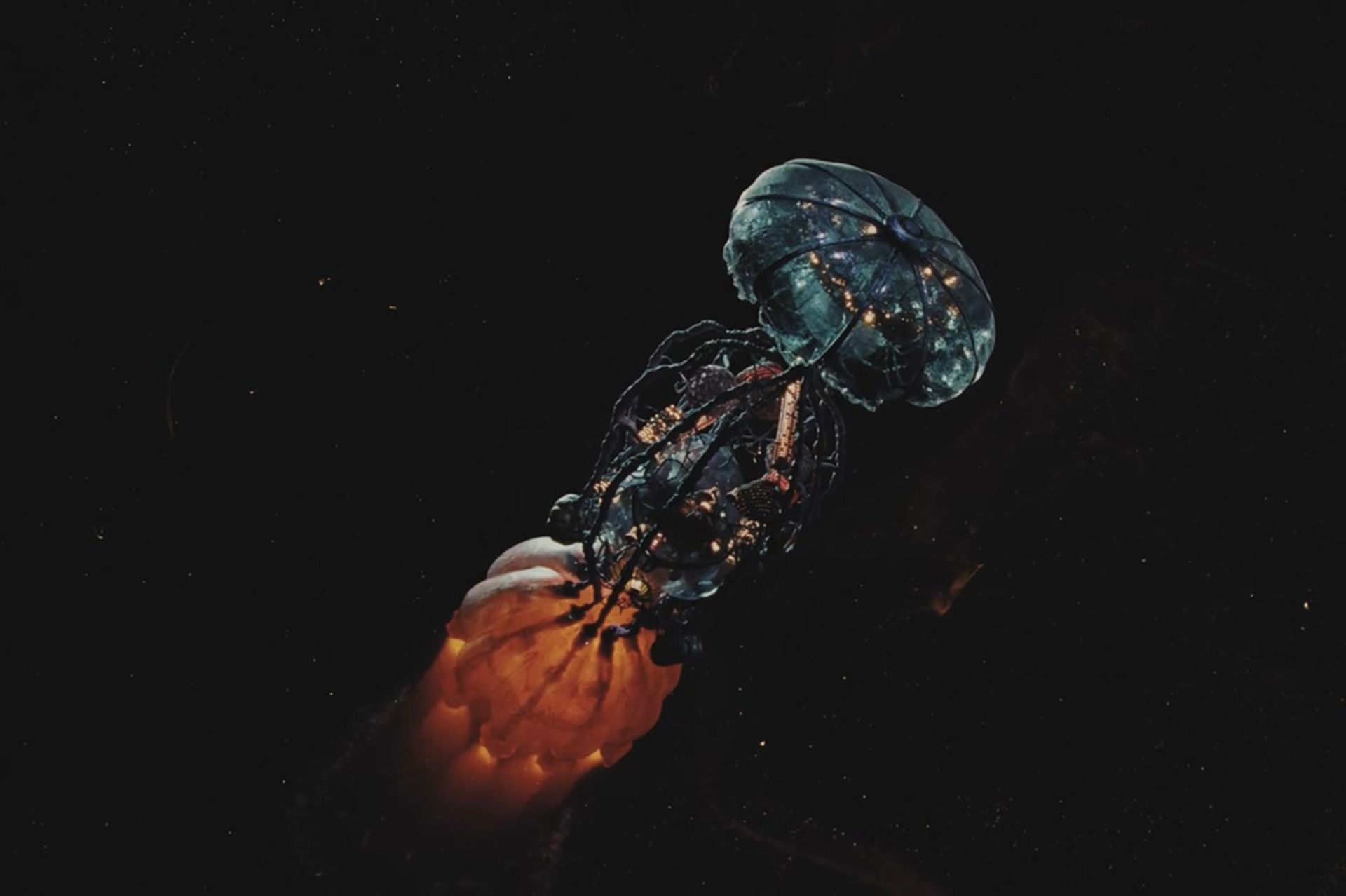 نمایی از فیلم بوگونیا