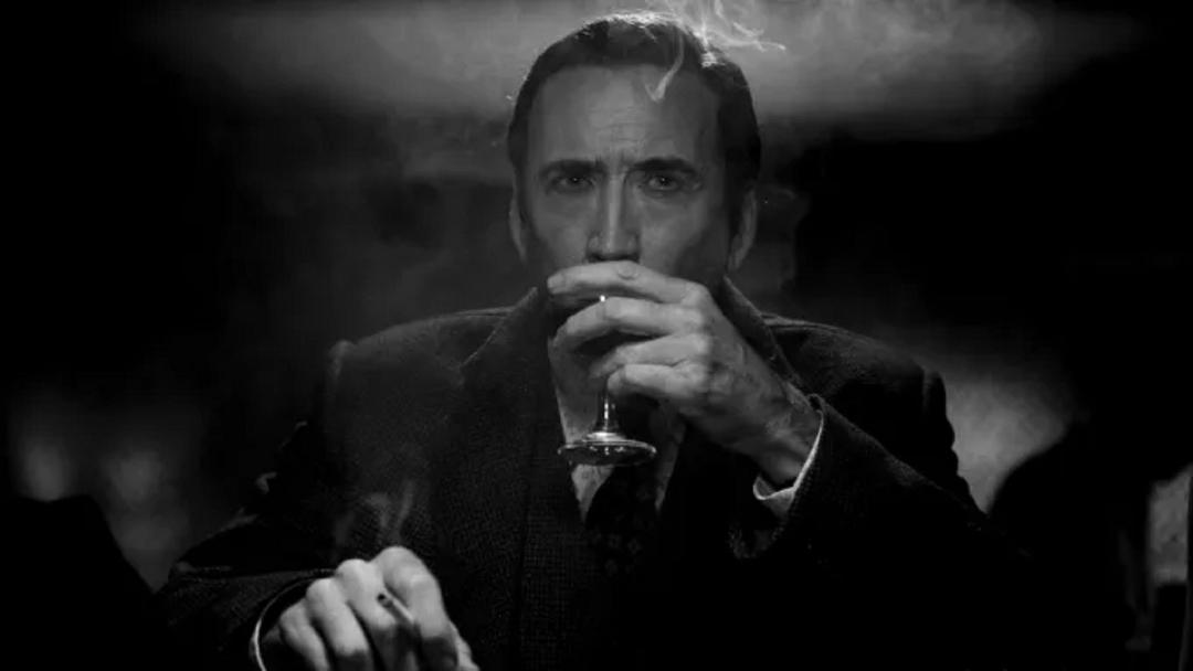 تریلر سریال spider noir