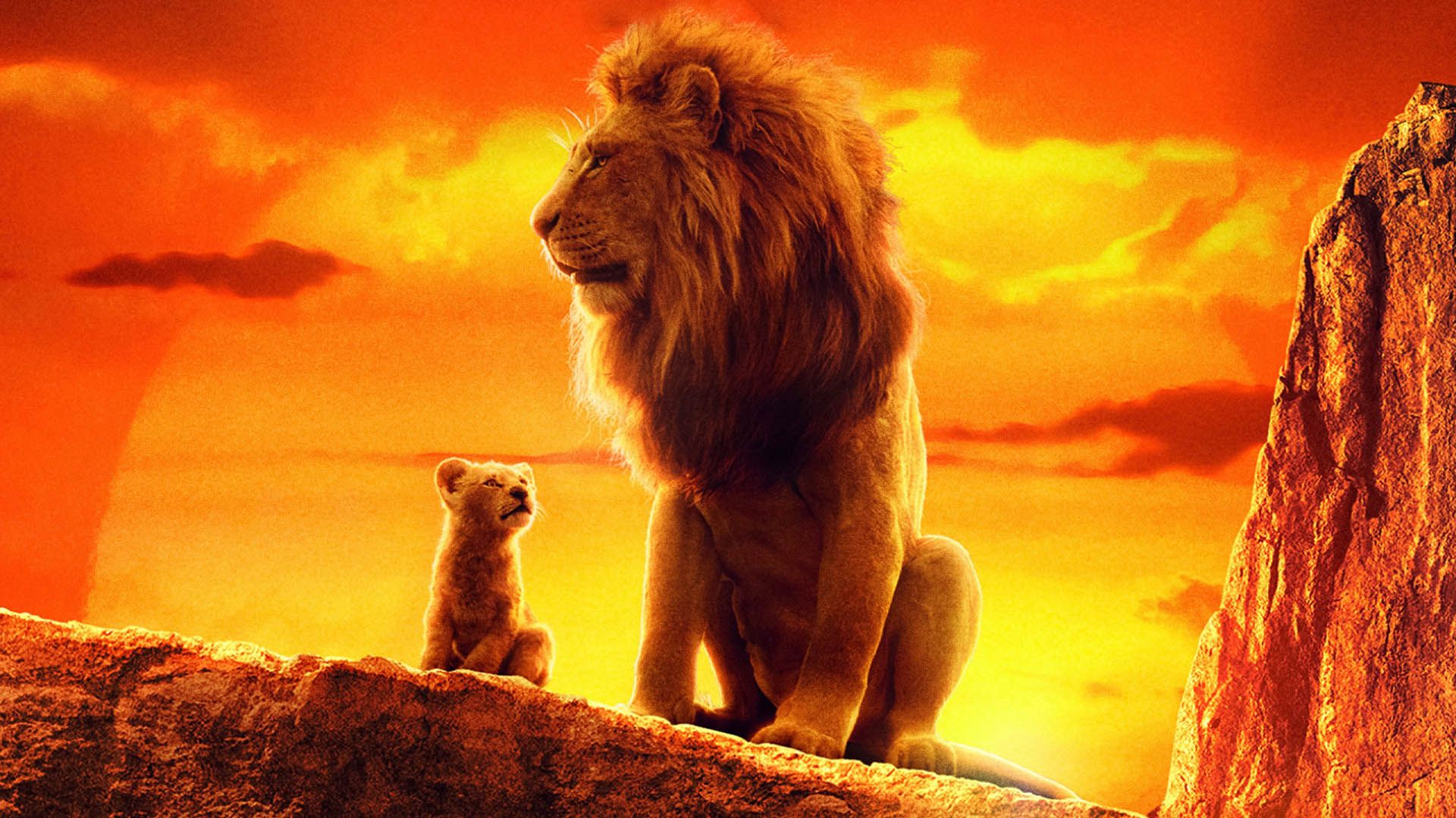 لایواکشن The Lion King