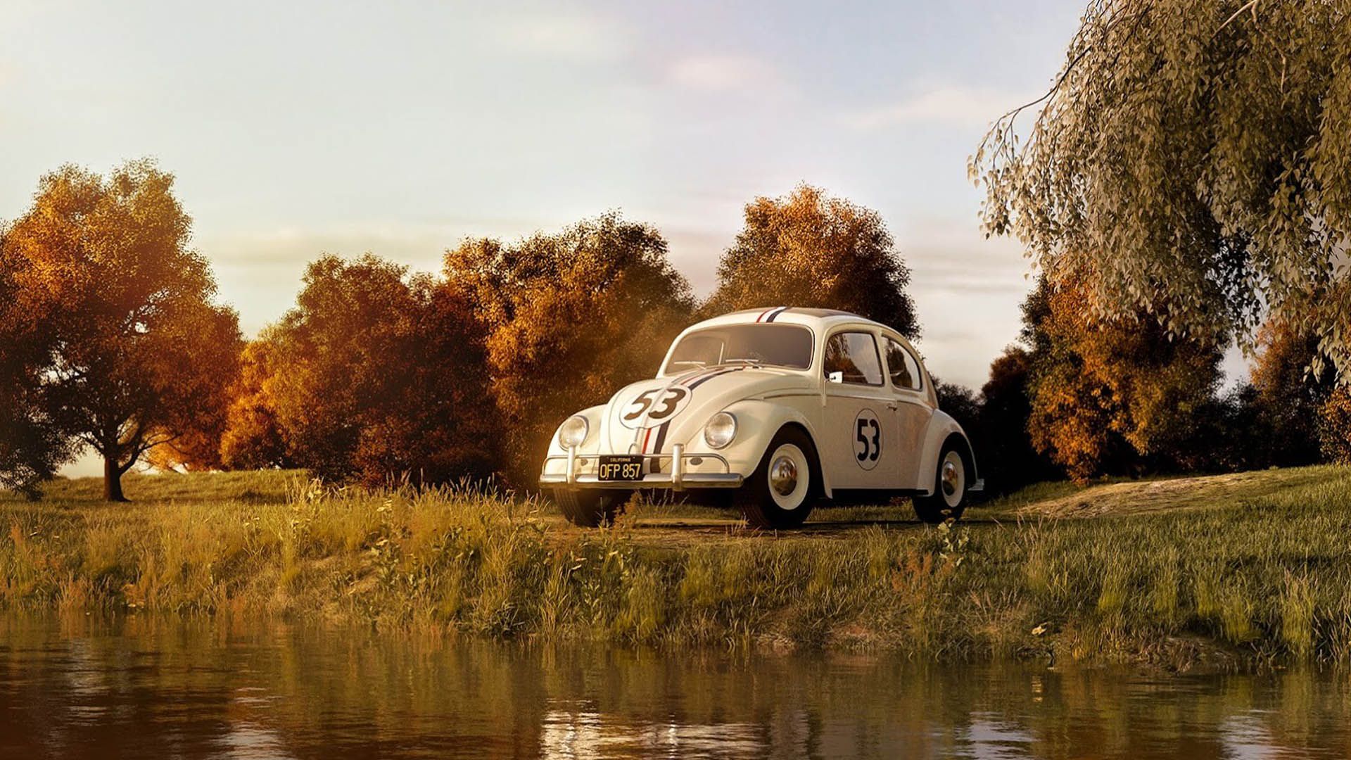 پوستر فیلم the love bug