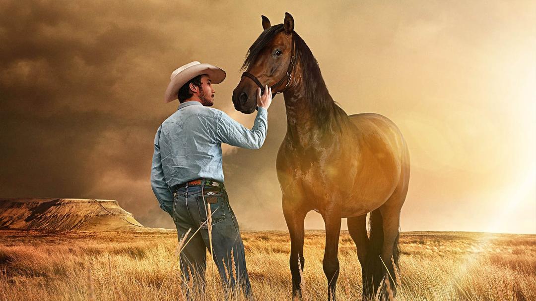 The Rider 2017 movie
