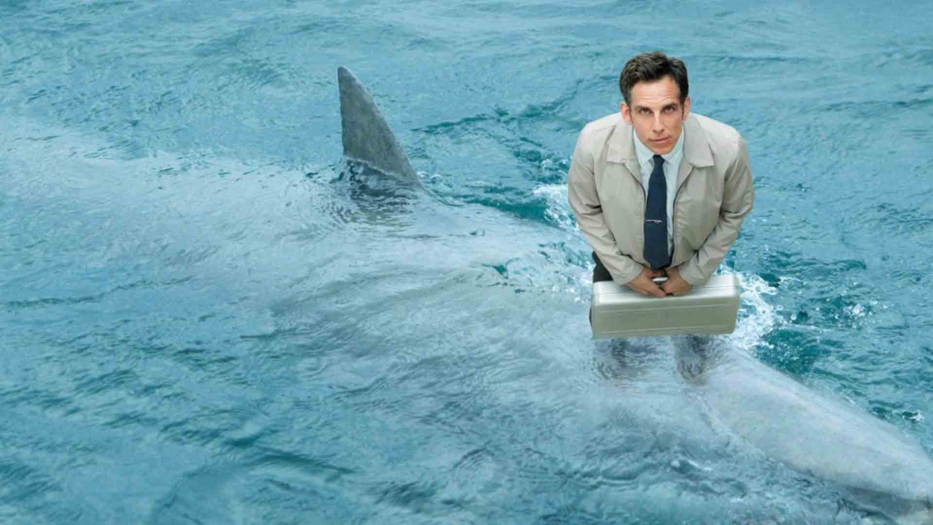 بن استیلر با یک کوسه در دریا در فیلم The Secret Life of Walter Mitty