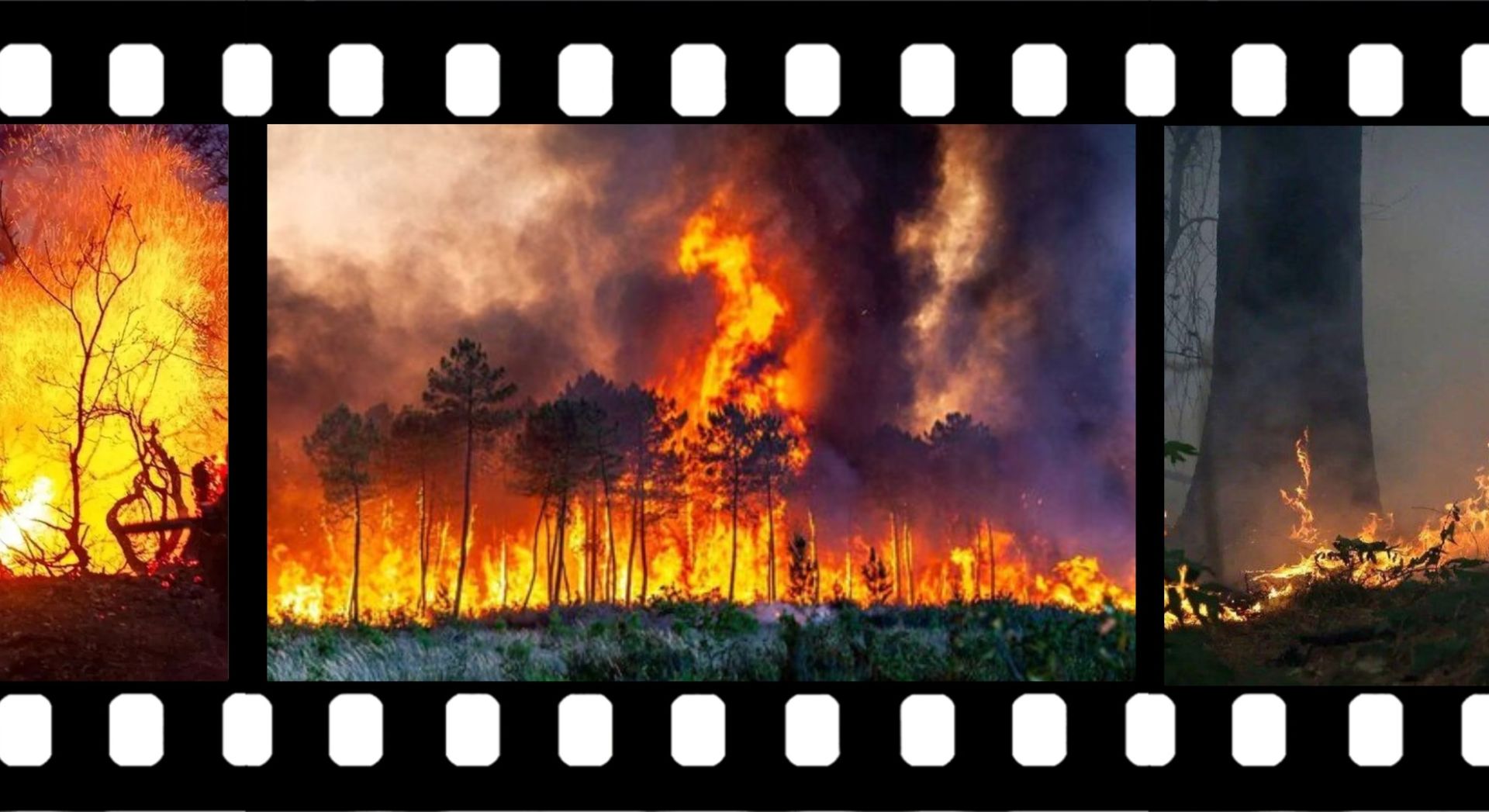 مروری بر فیلم های مستند  داستانی هیرکانی