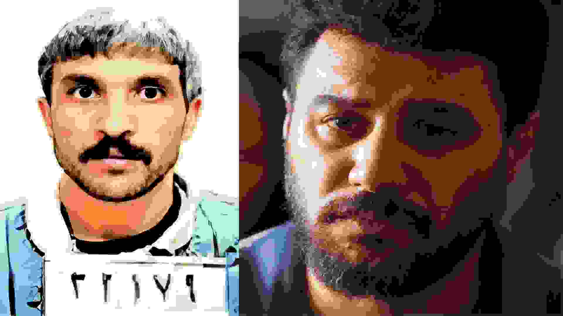 داود اشرف سریال وحشی