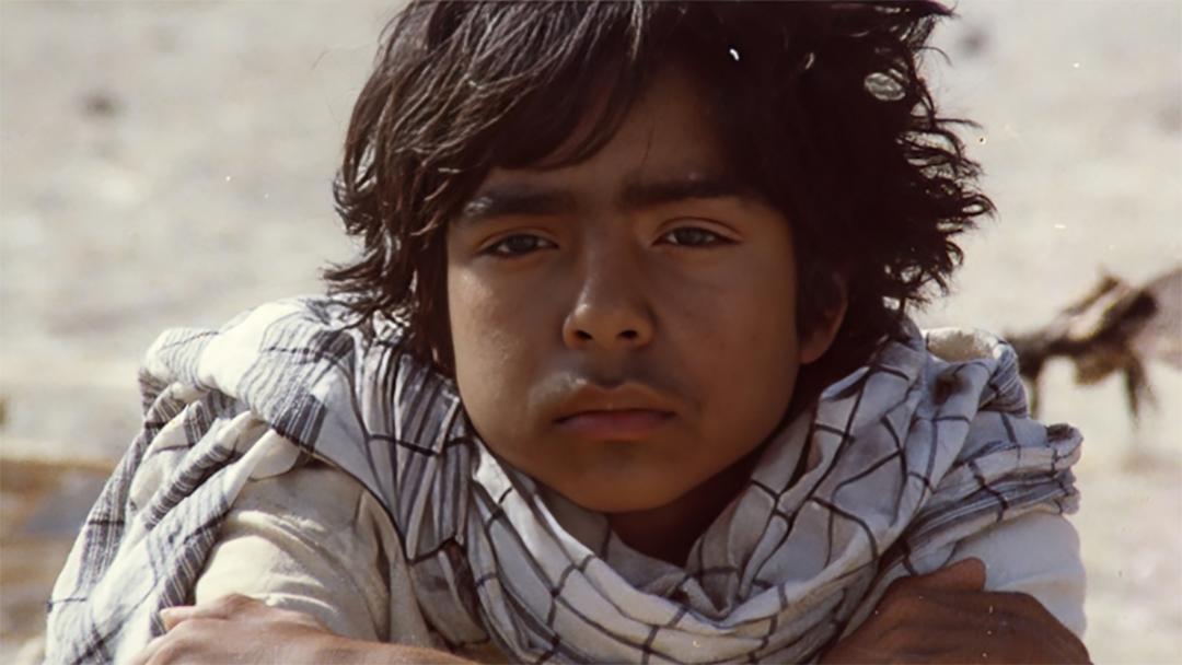 مجید نیرومند در فیلم آب باد خاک
