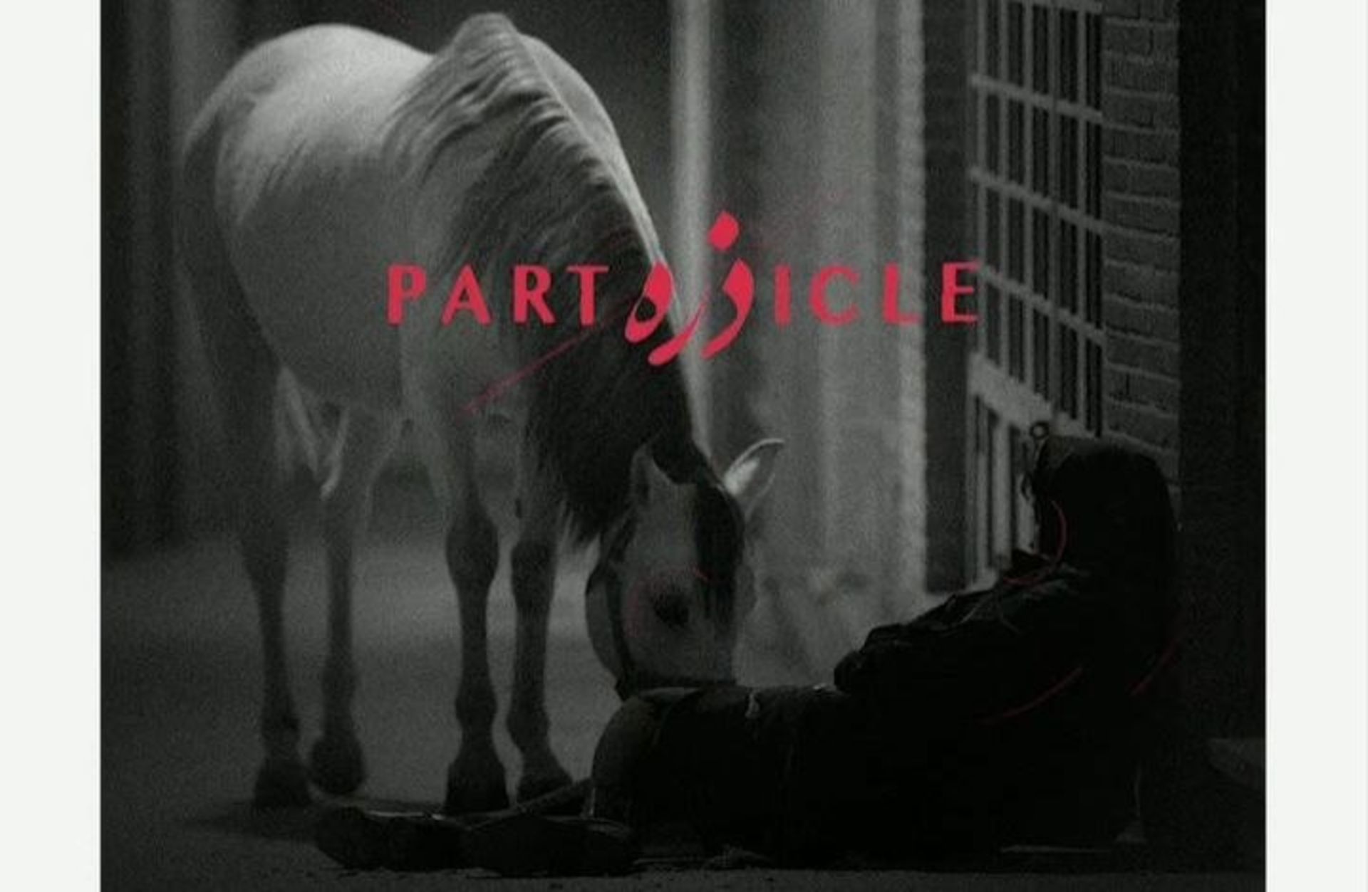 فیلم کوتاه ذره فردین انصاری